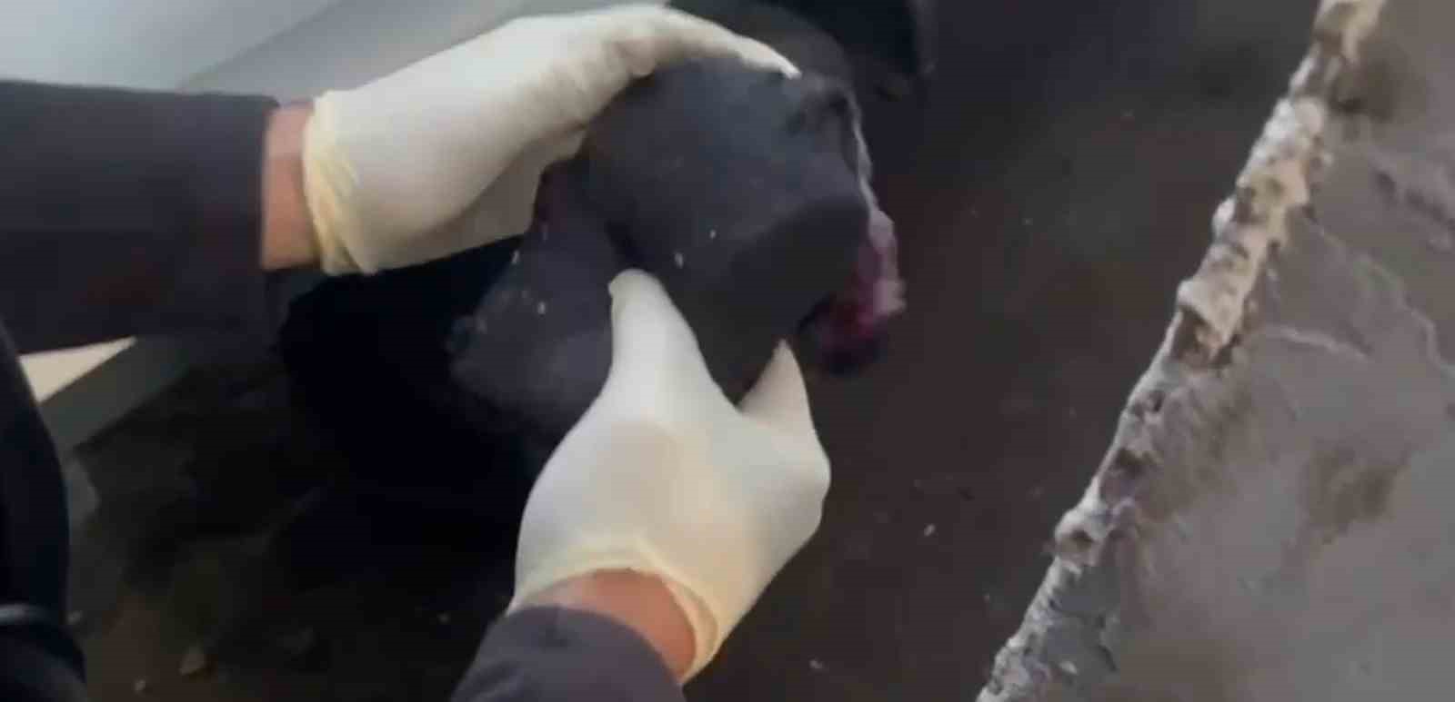 coraplara ve sakiz kutularina sakladiklari uyusturucuyu ekipler buldu 2 O7bZRe68