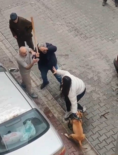 corluda pitbull dehsetinde yeni goruntuler kopek sahibi mudahaleye engel oldu gerilim buyudu 1 Z9RazRJW