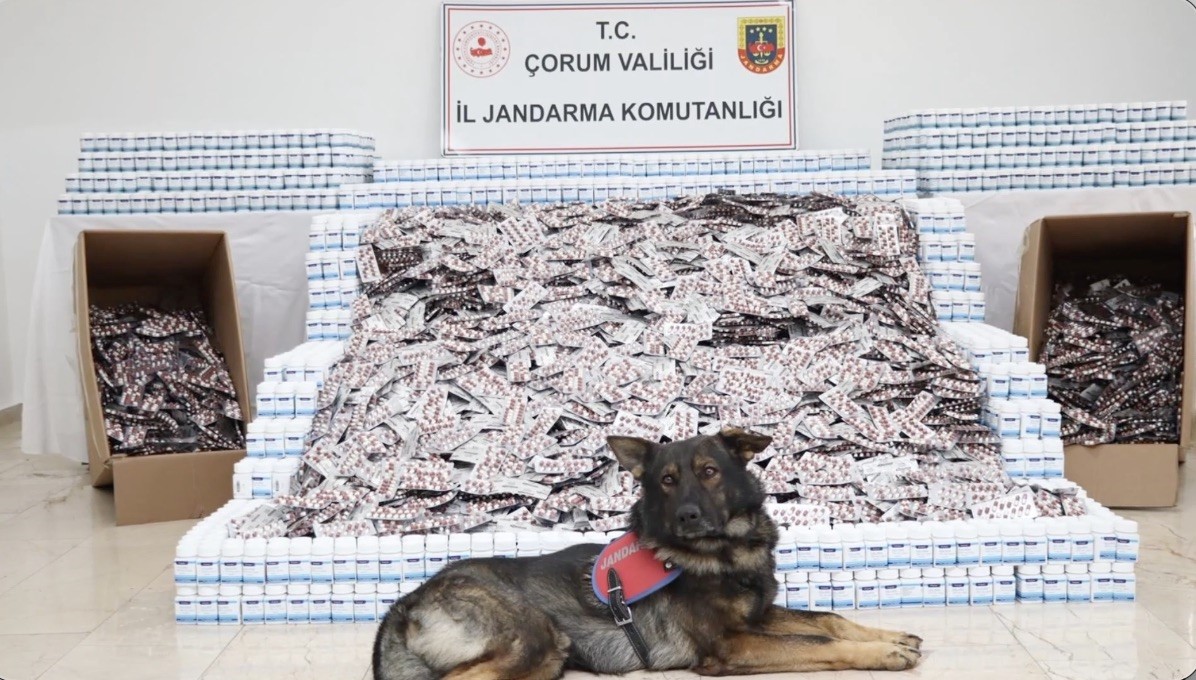 corum jandarmasindan zehir tacirlerine dev darbe 736 bin 217 uyusturucu hap ele gecirildi 3 OOtH522Z