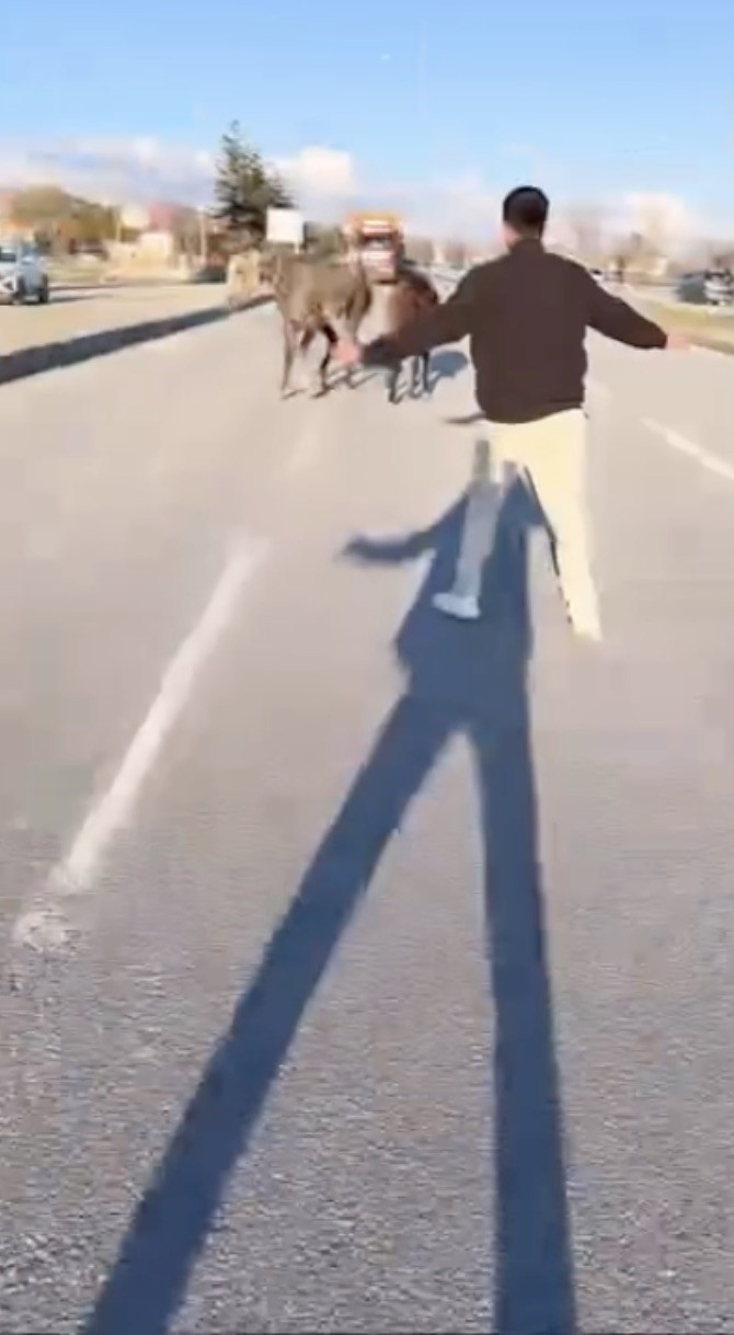 corumda basibos atlar trafigi tehlikeye atti o anlar kamerada 2 1G97Sd3i
