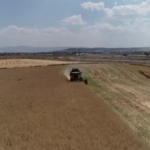 corumda-ciftcinin-talebiyle-planli-uretime-alinan-kanolada-ilk-hasat-sevinci-yaEKTNYe.jpg