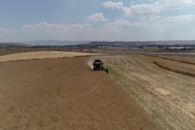 Elazığ’da 130 köy yolu açıldı, 207’sinde çalışmalar sürüyor 1 thumbnail