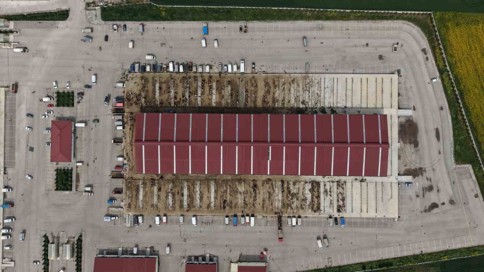 corumda hayvan pazarinda kurban bayrami haraketliligi basladi 2