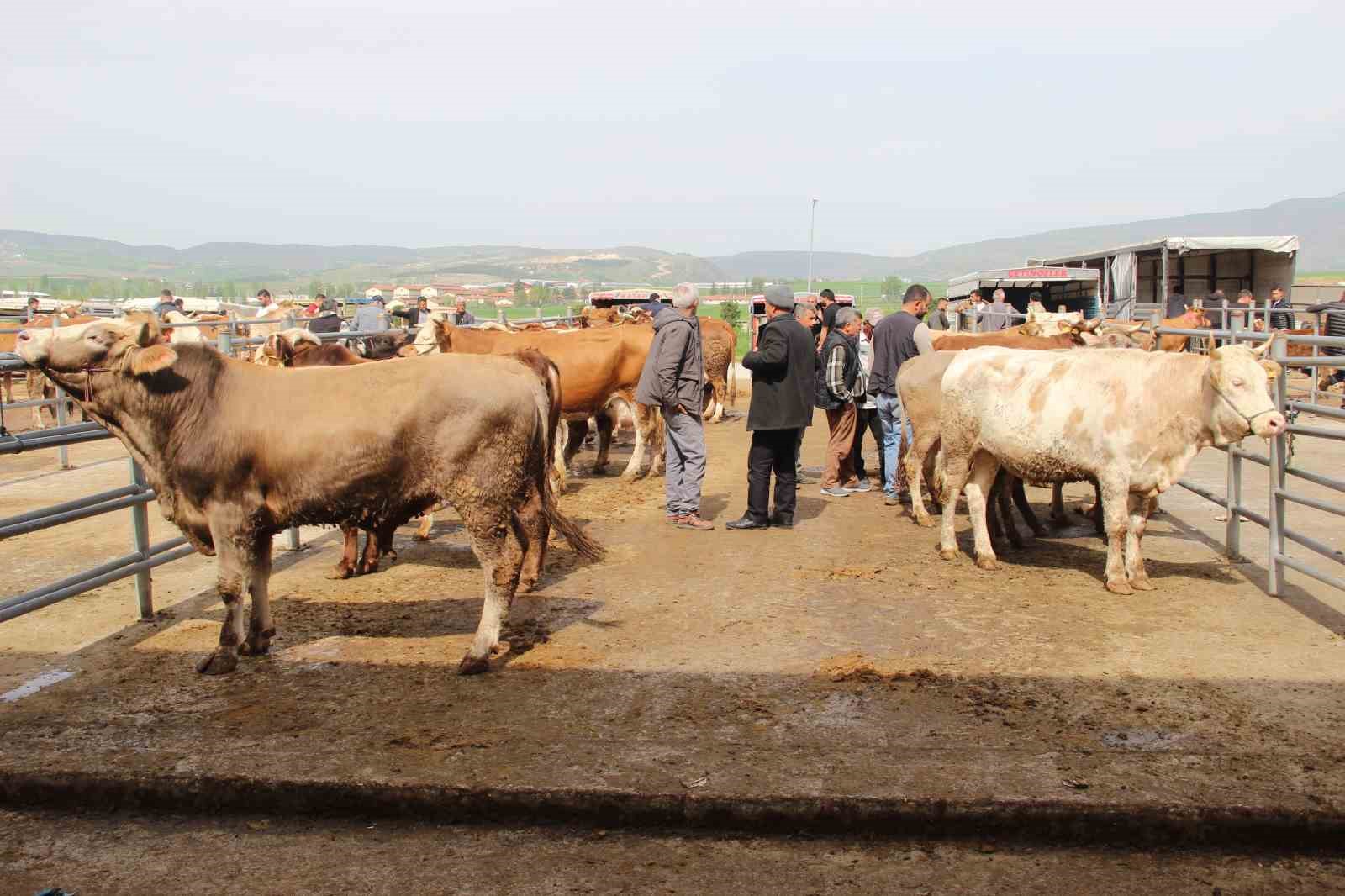 corumda hayvan pazarinda kurban bayrami haraketliligi basladi 7 2r4Gzsli
