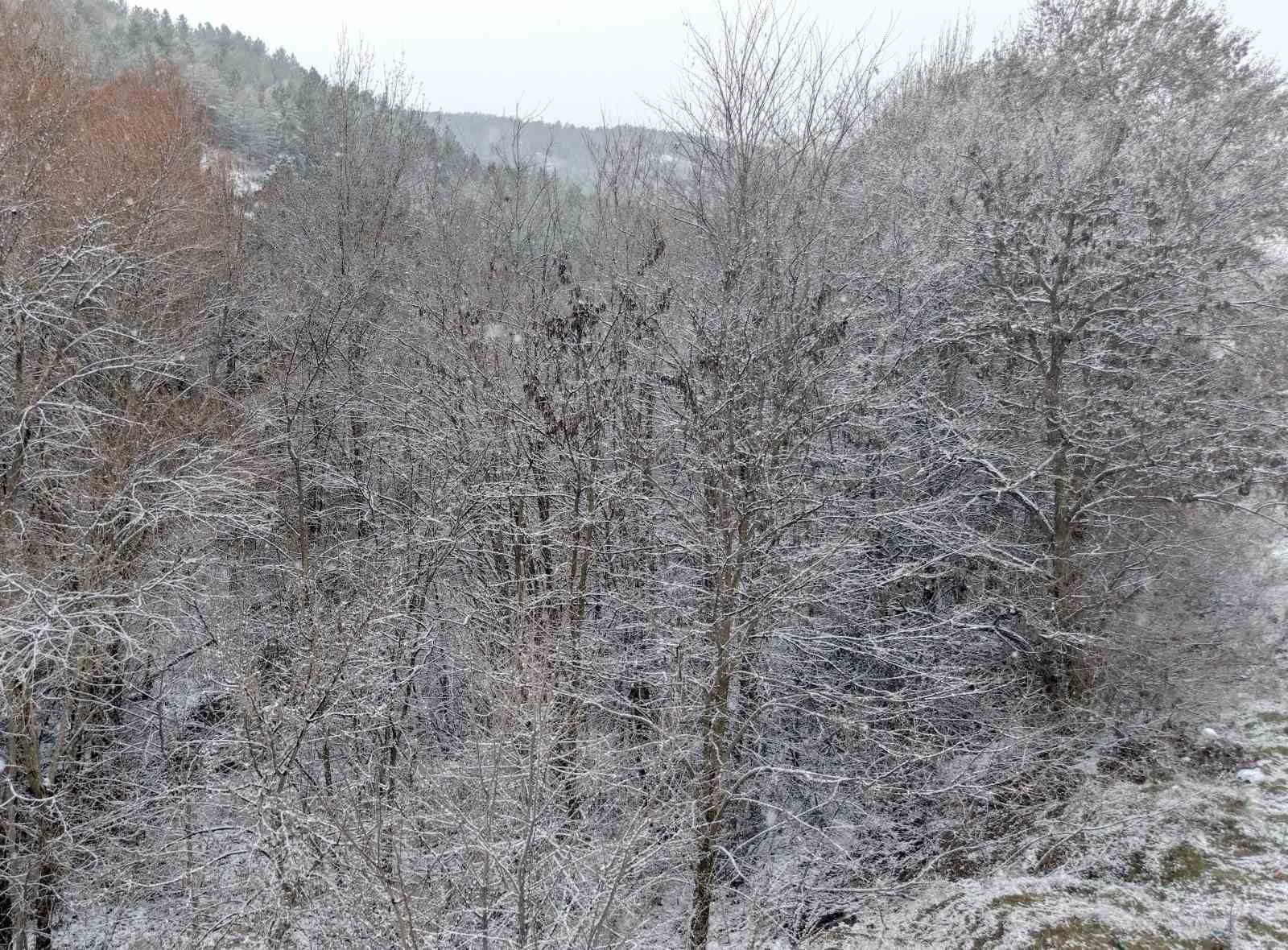 corumda kar yagisi etkili oluyor 5 NcOtjGVJ
