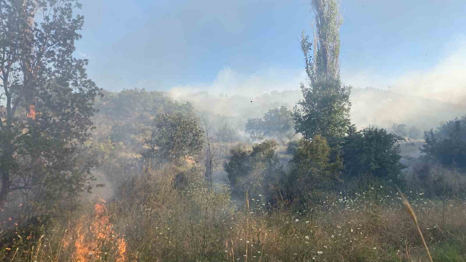 Çorum’da orman yangını 5 corumda orman yangini 1 YuusGChn
