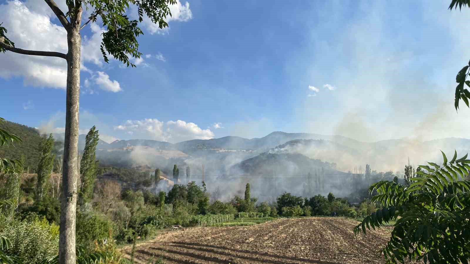 Çorum’da orman yangını 7 corumda orman yangini 3 MRQyWbnt