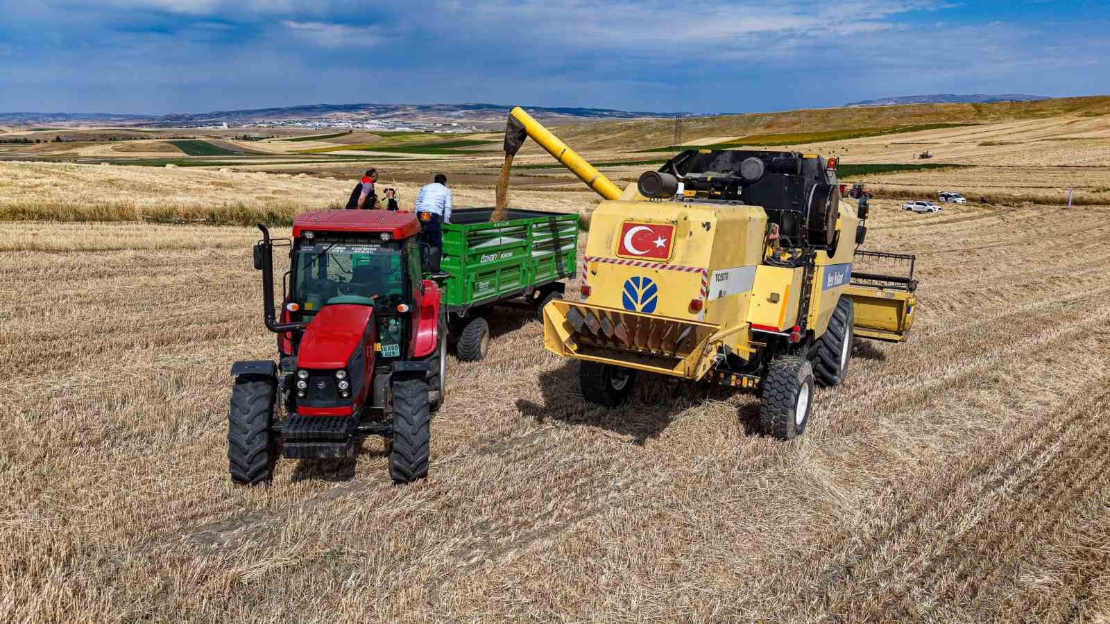 corumda yerli ve milli bugday kirvenin ilk hasadi yapildi 2 fpXsUcBY