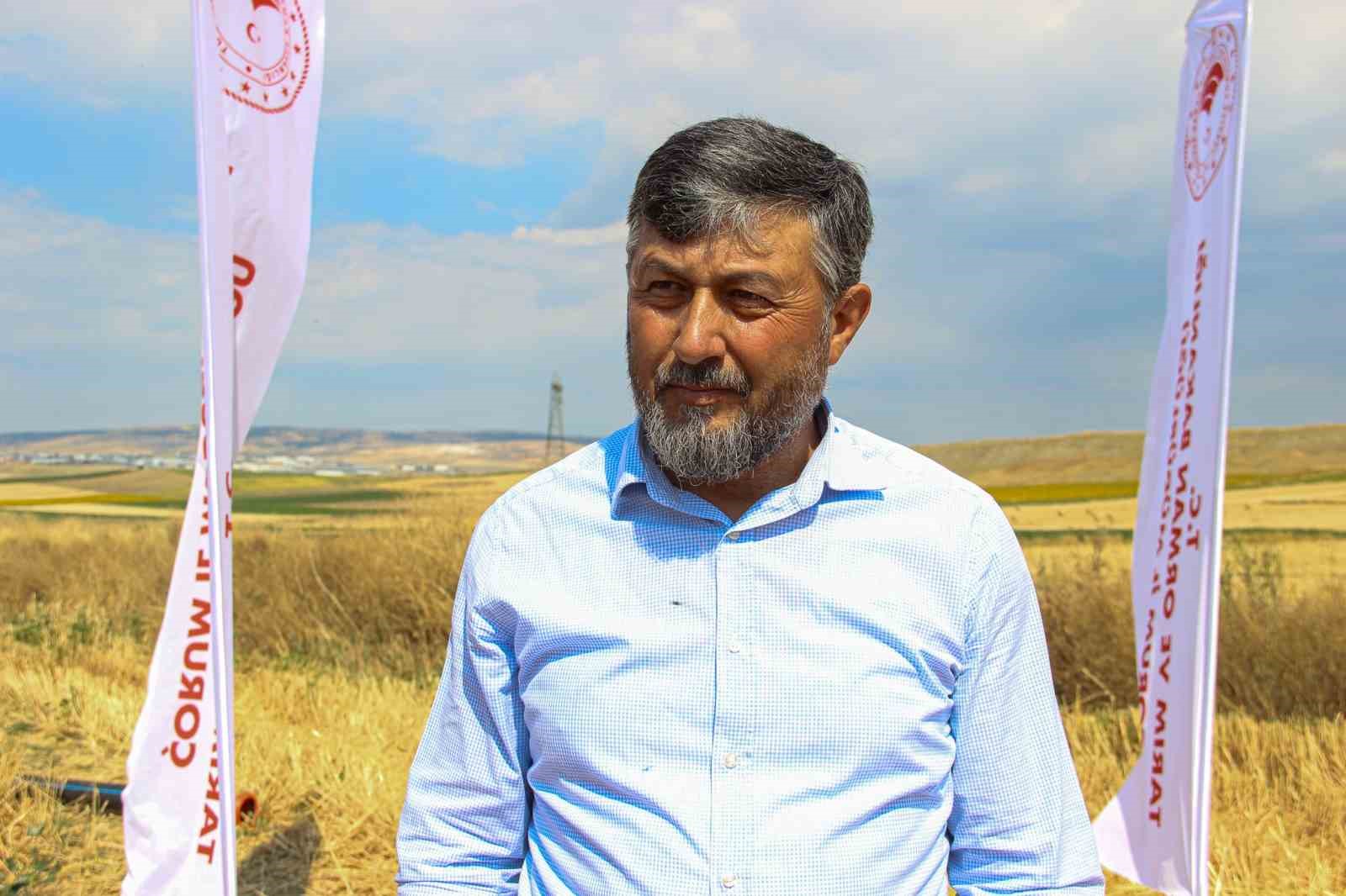 corumda yerli ve milli bugday kirvenin ilk hasadi yapildi 5