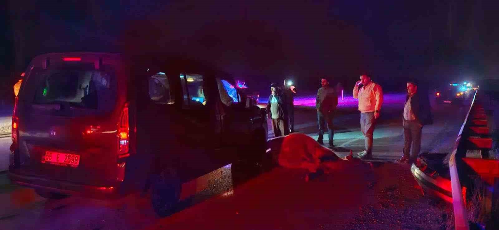 corumda yola cikan dana kazaya neden oldu 3 yarali 1