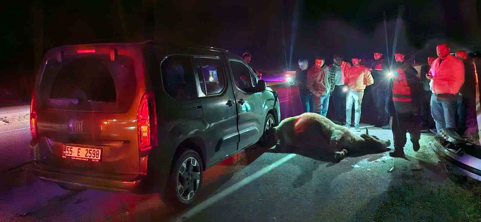 corumda yola cikan dana kazaya neden oldu 3 yarali 2 jbHg3XC2