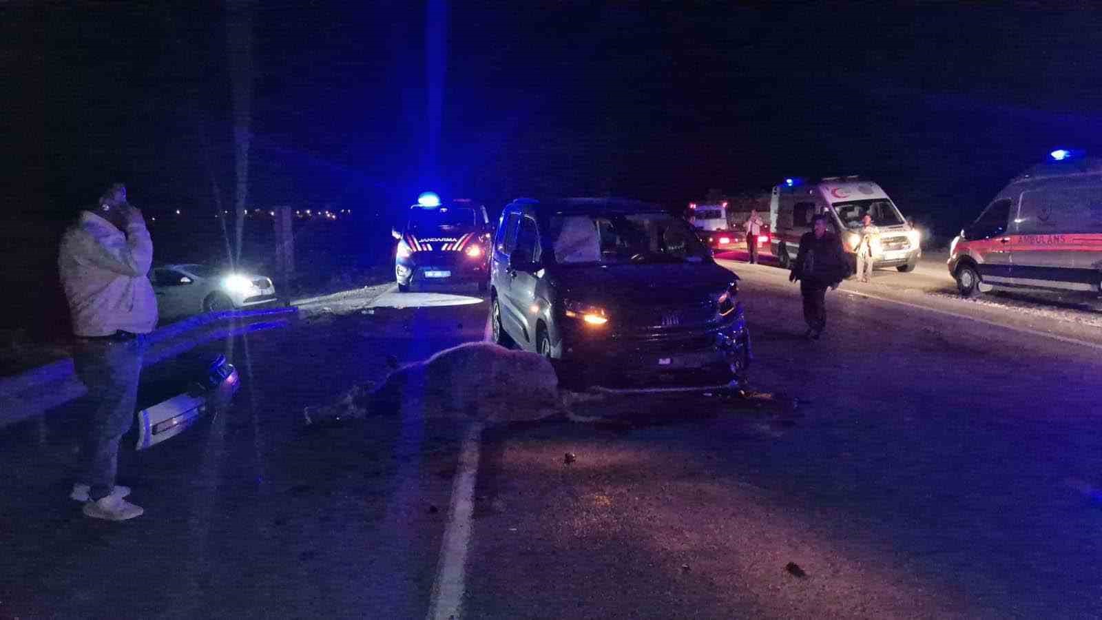 corumda yola cikan dana kazaya neden oldu 3 yarali 4 VfsnTEML