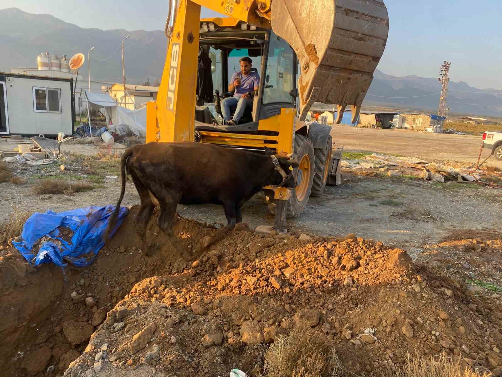 cukura dusen buyukbasi itfaiye kurtardi 1 p5CpSLAt