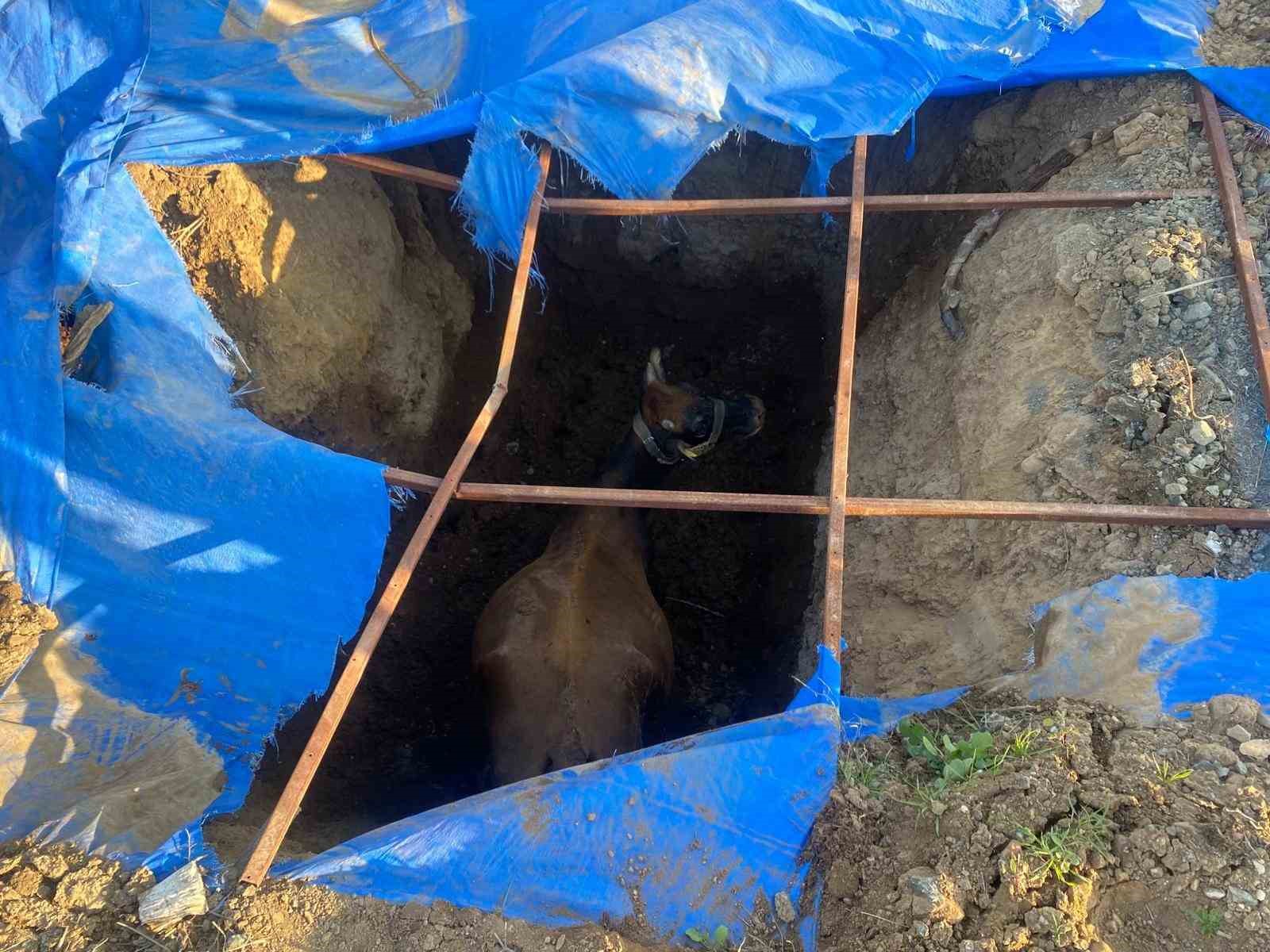 cukura dusen buyukbasi itfaiye kurtardi 2 ON4MnhF7