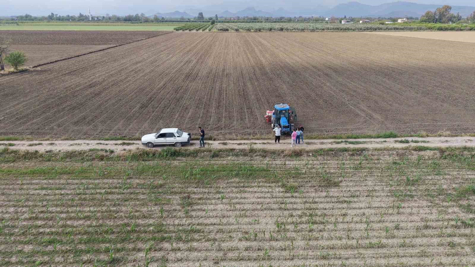 cukurovada arazilerini dolu vuran uretici misiri sokup aycicegine yoneldi 0 bChGiq6T