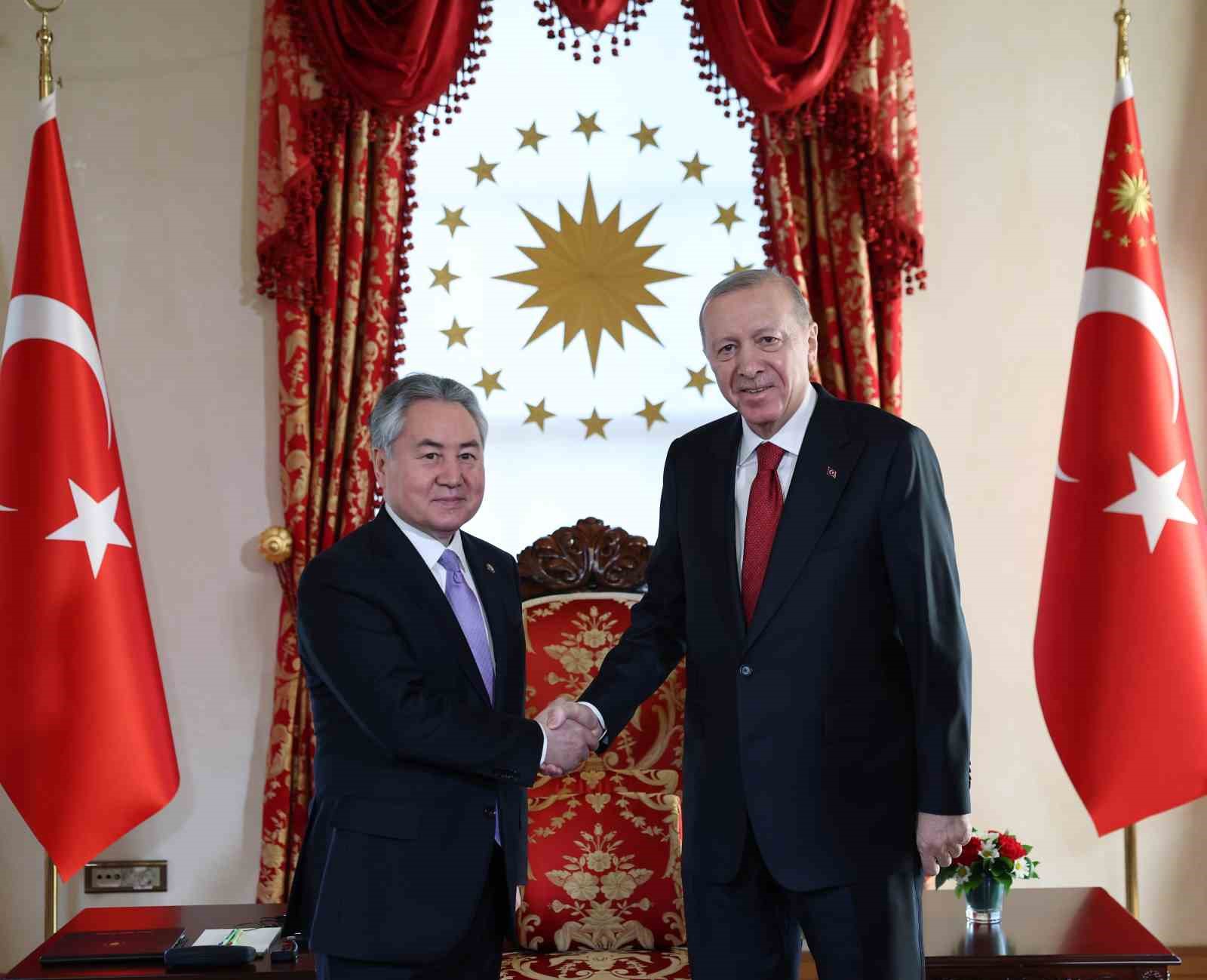 cumhurbaskani erdogan turk devletleri teskilati heyetini kabul etti 2
