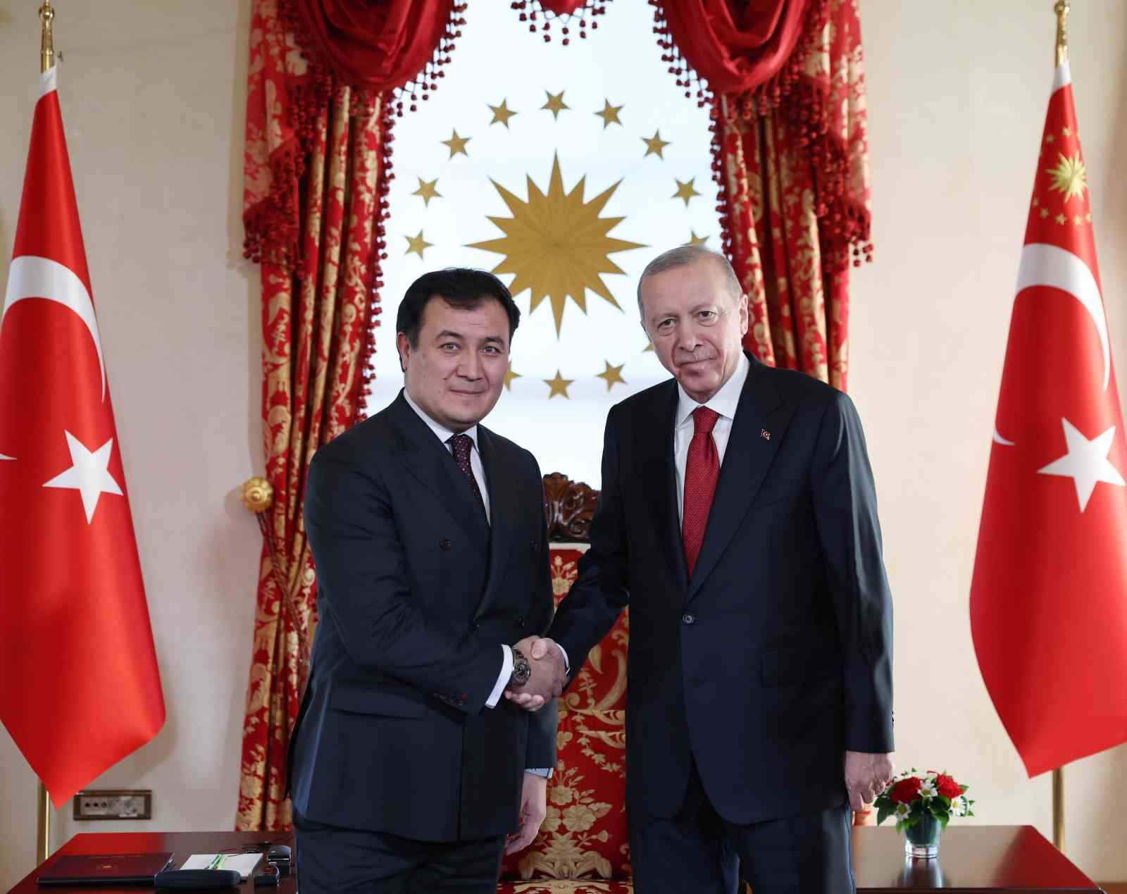 cumhurbaskani erdogan turk devletleri teskilati heyetini kabul etti 3 32KbABEi