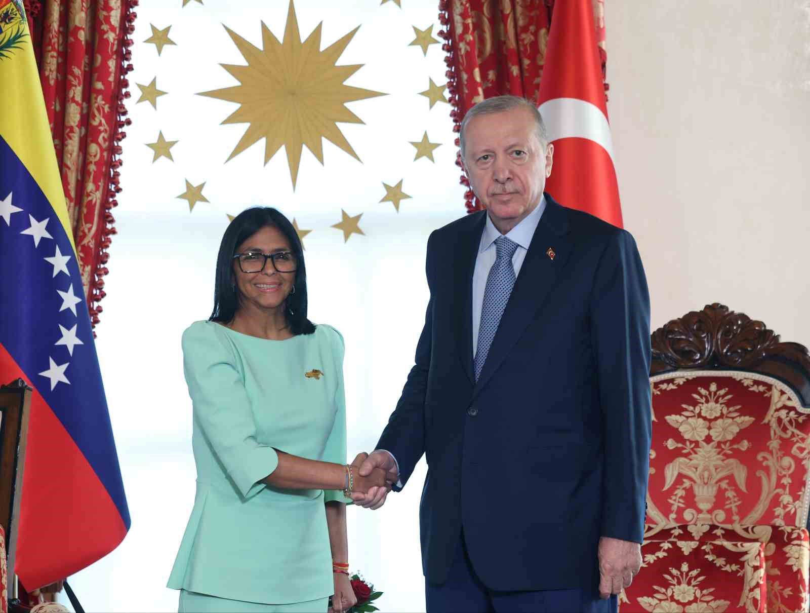 Cumhurbaşkanı Erdoğan, Venezuela Cumhurbaşkanı Vekili Rodriuez ile görüştü 7 cumhurbaskani erdogan venezuela cumhurbaskani vekili rodriuez ile gorustu 3 JVdOlcm3