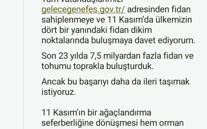 cumhurbaskani-erdogandan-11-kasim-milli-agaclandirma-gunu-mesaji-brL5QZ3S.jpg
