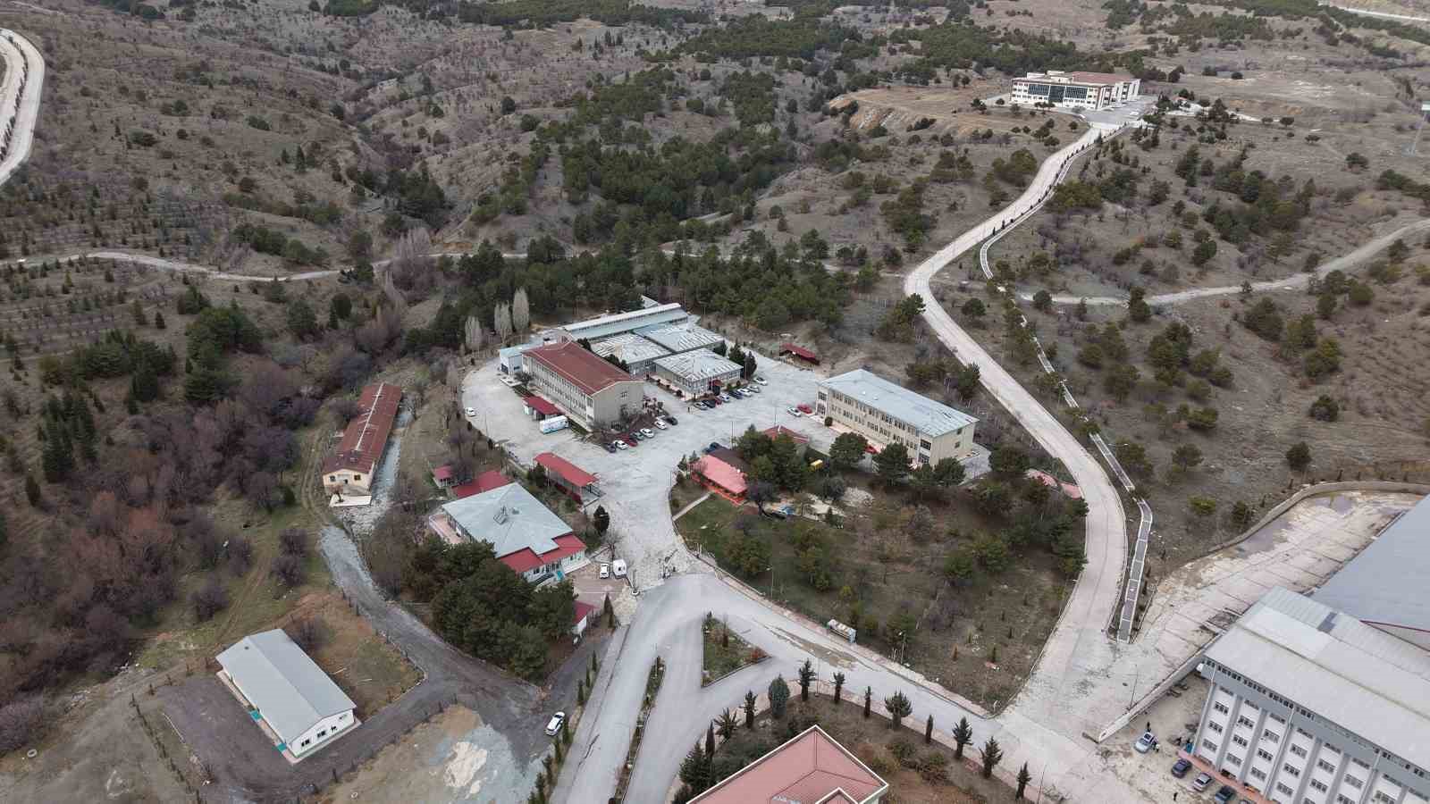 cumhuriyet tarihinin ilk fakultesine ait hastanede bir yilda 9 bin 600 hayvan sifa buldu VhRcPpPi