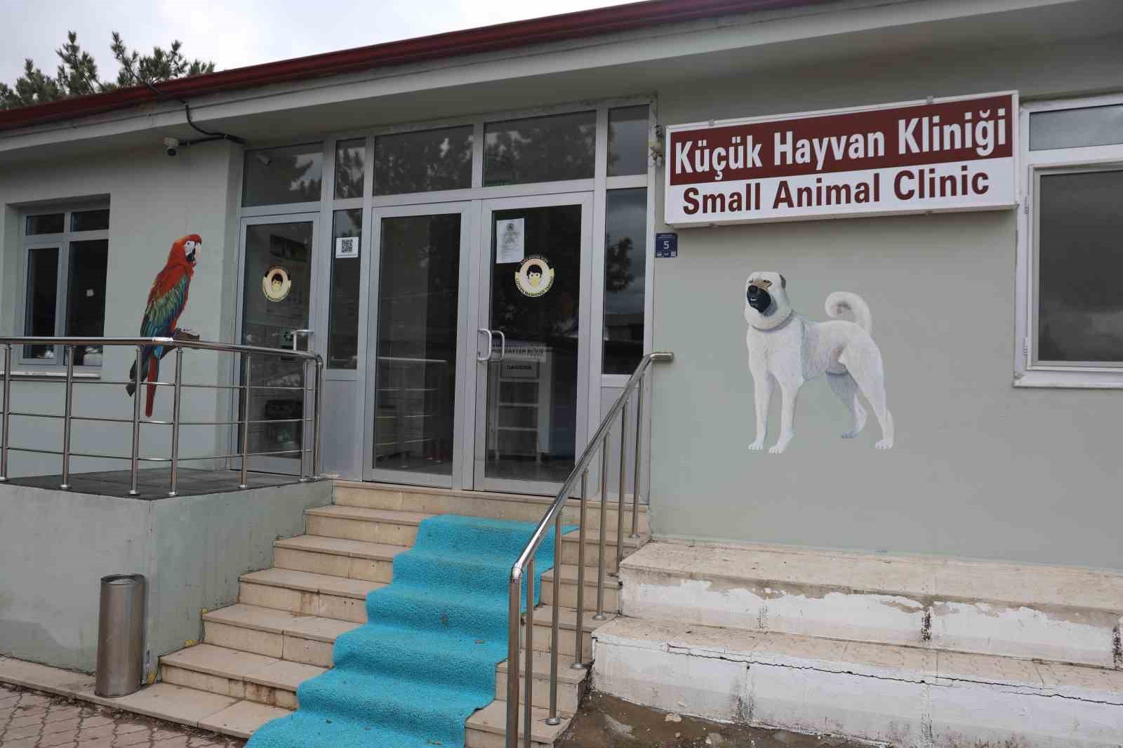 cumhuriyet tarihinin ilk fakultesine ait hastanede bir yilda 9 bin 600 hayvan sifa buldu sLwirjed