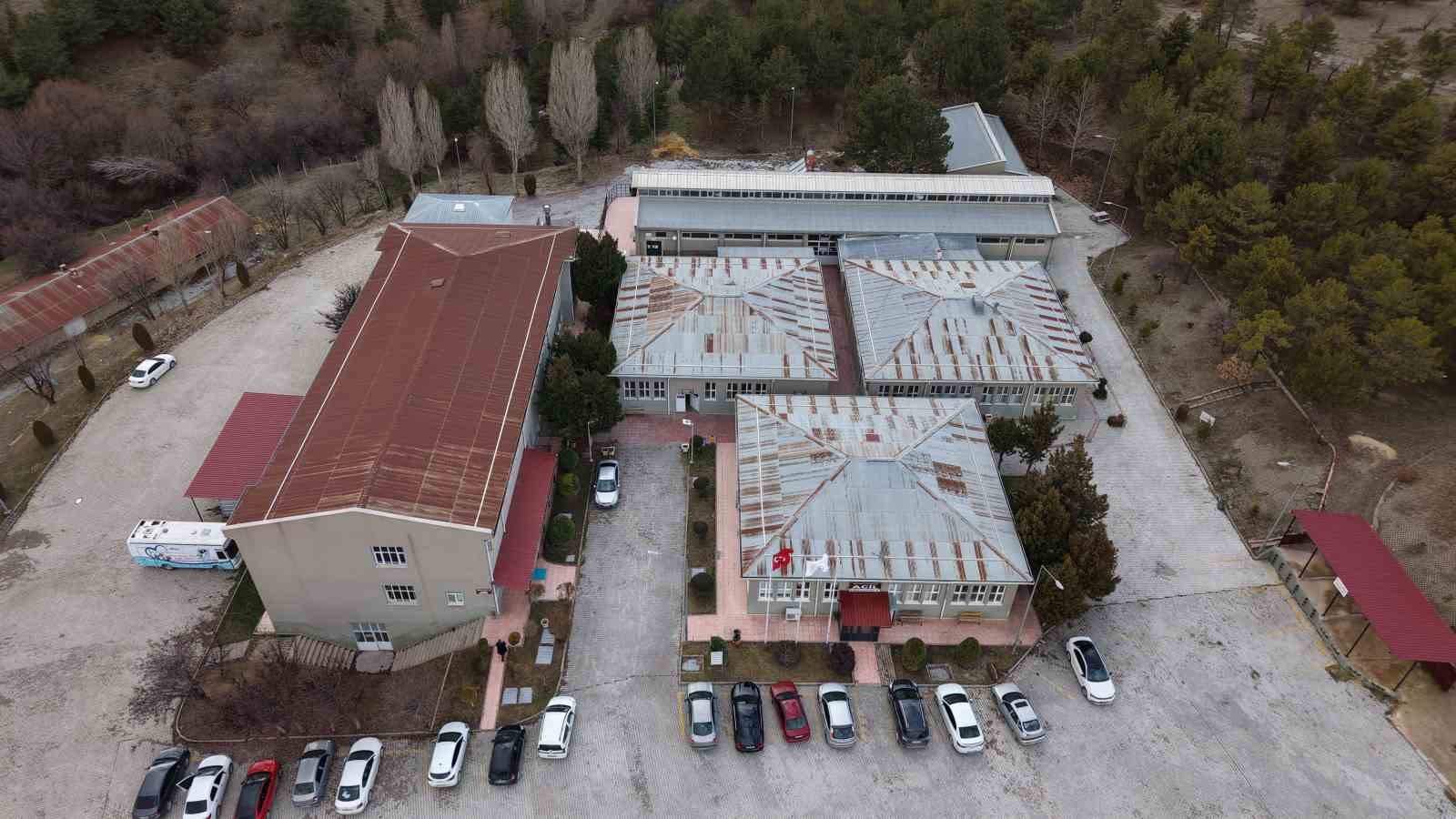 cumhuriyet tarihinin ilk fakultesine ait hastanede bir yilda 9 bin 600 hayvan sifa buldu yi8ueLpn