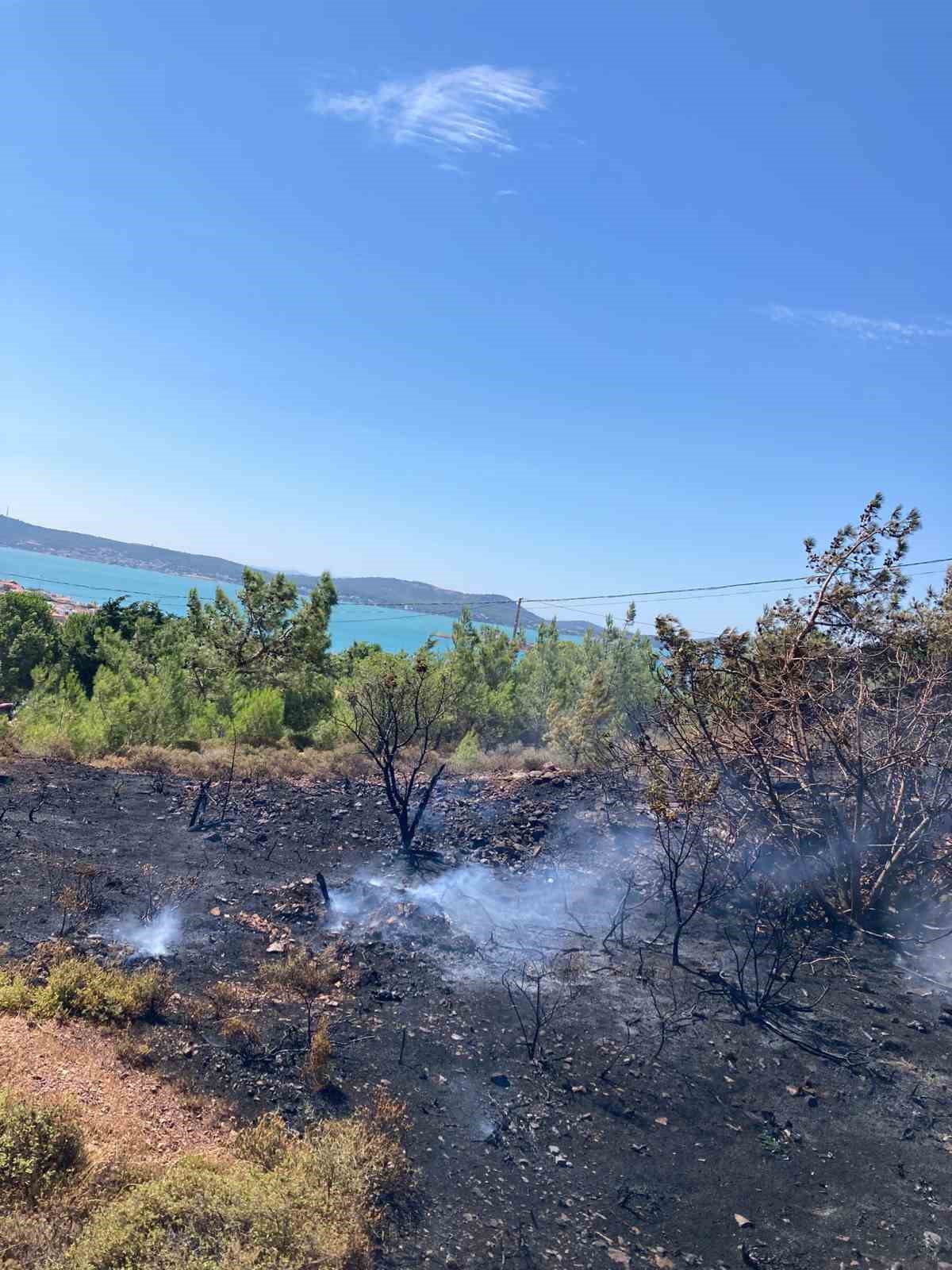 Cunda Adası’nda orman yangını 4 cunda adasinda orman yangini 0 KArCSQca