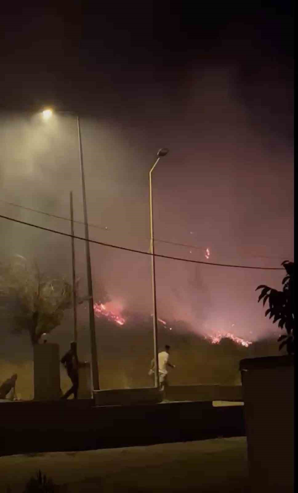 cunda adasindaki orman yangini kontrol altina alindi 2 2NWPvH7e
