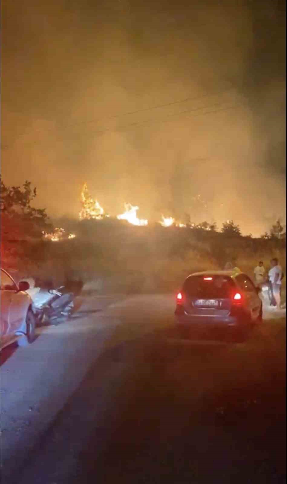 cunda adasindaki orman yangini kontrol altina alindi 3 SRwQHKXO