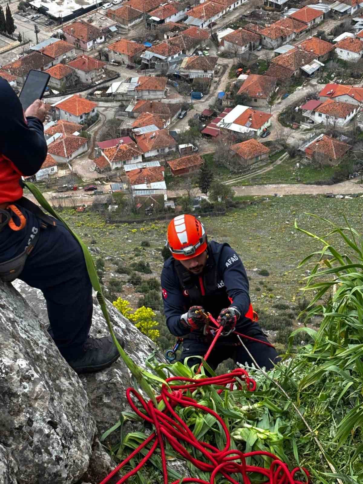 Dağda mahsur kalan keçi kurtarıldı 6 dagda mahsur kalan keci kurtarildi 2 n2RCHsqp