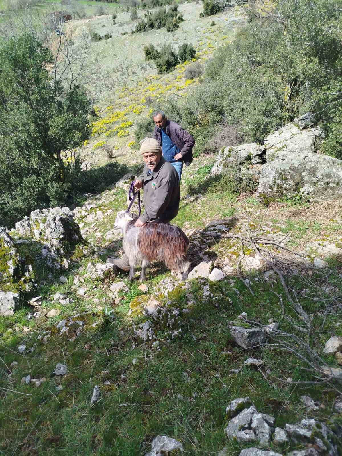 dagda mahsur kalan keci kurtarildi 3 Nw98PhOz