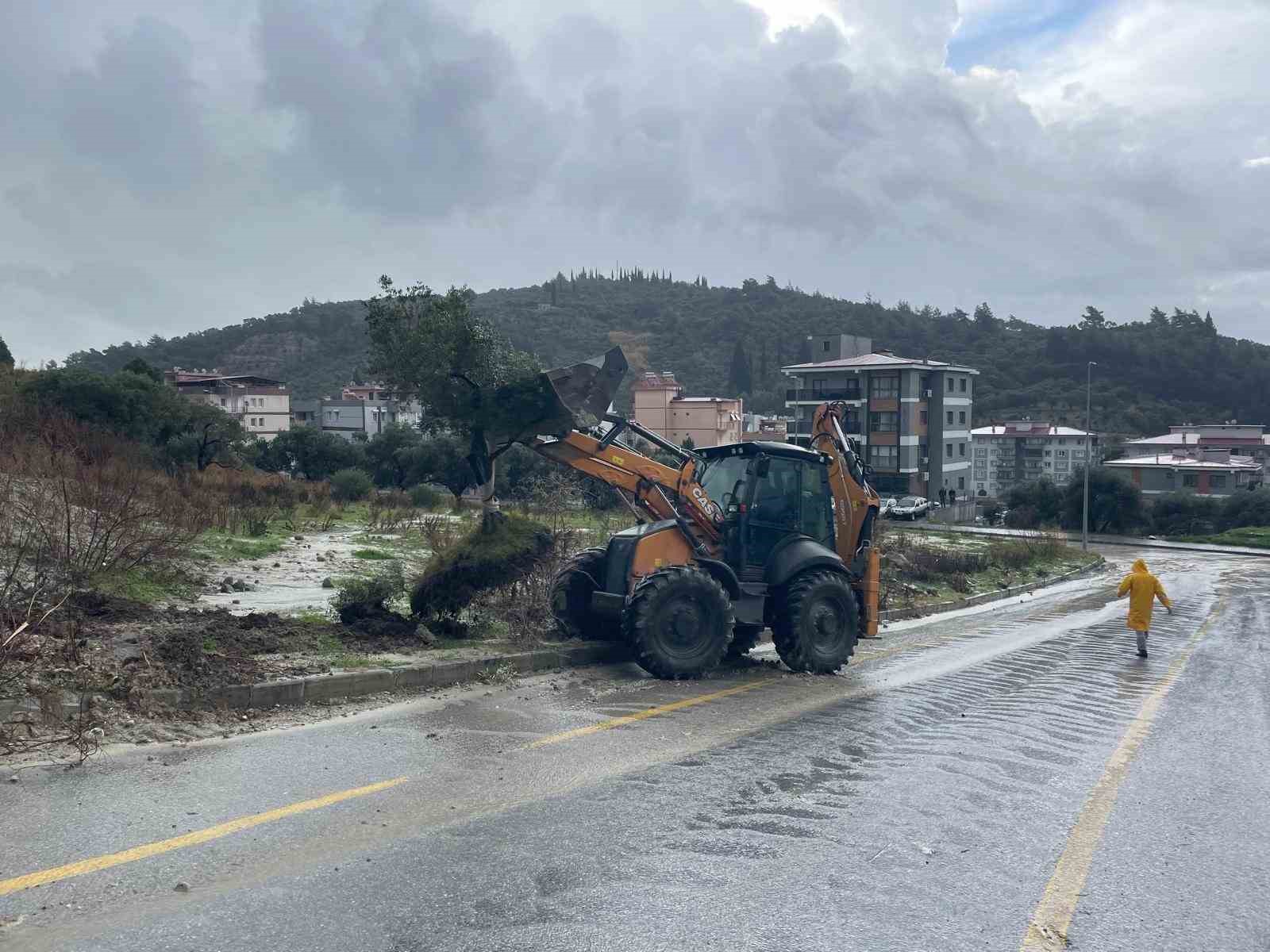 dagdan kopan zeytin agaci karayolunu ikiye boldu 1 AT5RFYvY