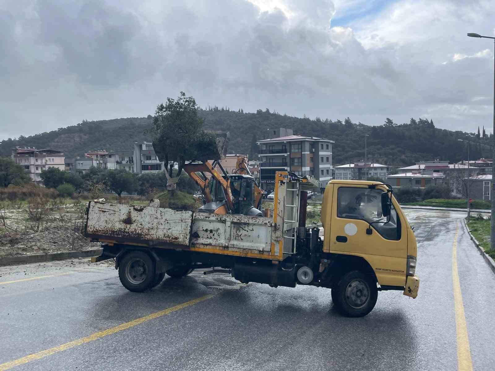 dagdan kopan zeytin agaci karayolunu ikiye boldu 2 iLGuuhb2
