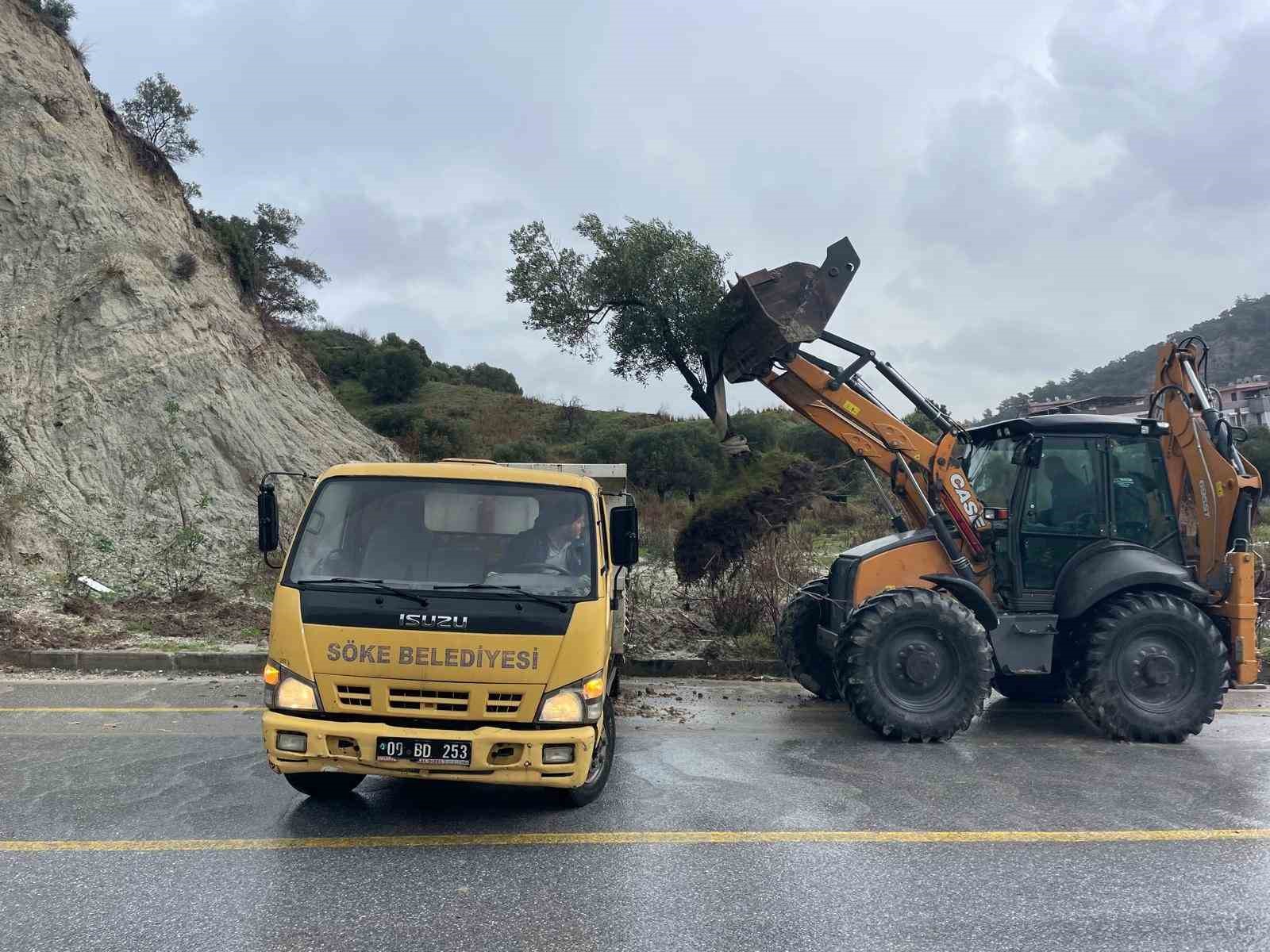 dagdan kopan zeytin agaci karayolunu ikiye boldu 3 PSKY7lN4