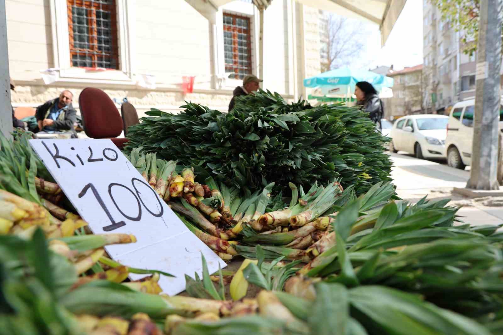 daglardan toplanan dogal antibiyotik tezgahlarda yerini aldi 3