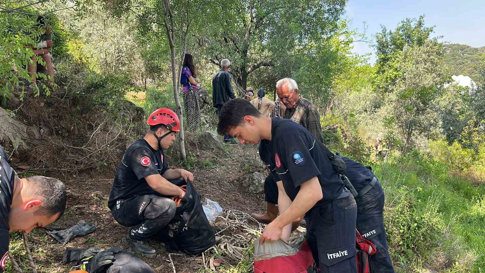 Dağlık alanda otlarken mağaraya düşen inek mağaraya inebilecek kasap bulunamayınca telef oldu 4 daglik alanda otlarken magaraya dusen inek magaraya inebilecek kasap bulunamayinca telef oldu 0 HZREfB9u