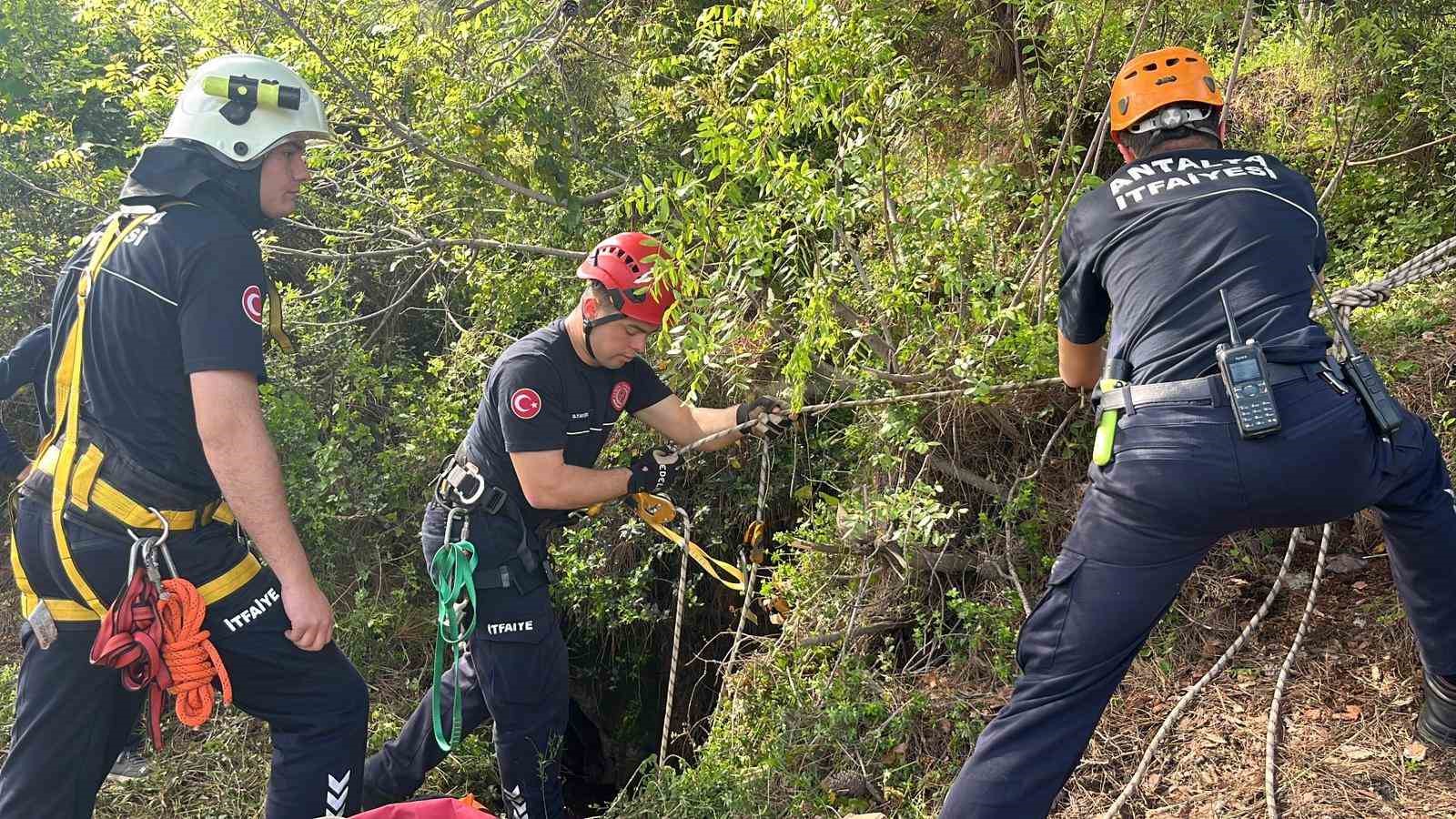 Dağlık alanda otlarken mağaraya düşen inek mağaraya inebilecek kasap bulunamayınca telef oldu 5 daglik alanda otlarken magaraya dusen inek magaraya inebilecek kasap bulunamayinca telef oldu 1 VES4pcHD