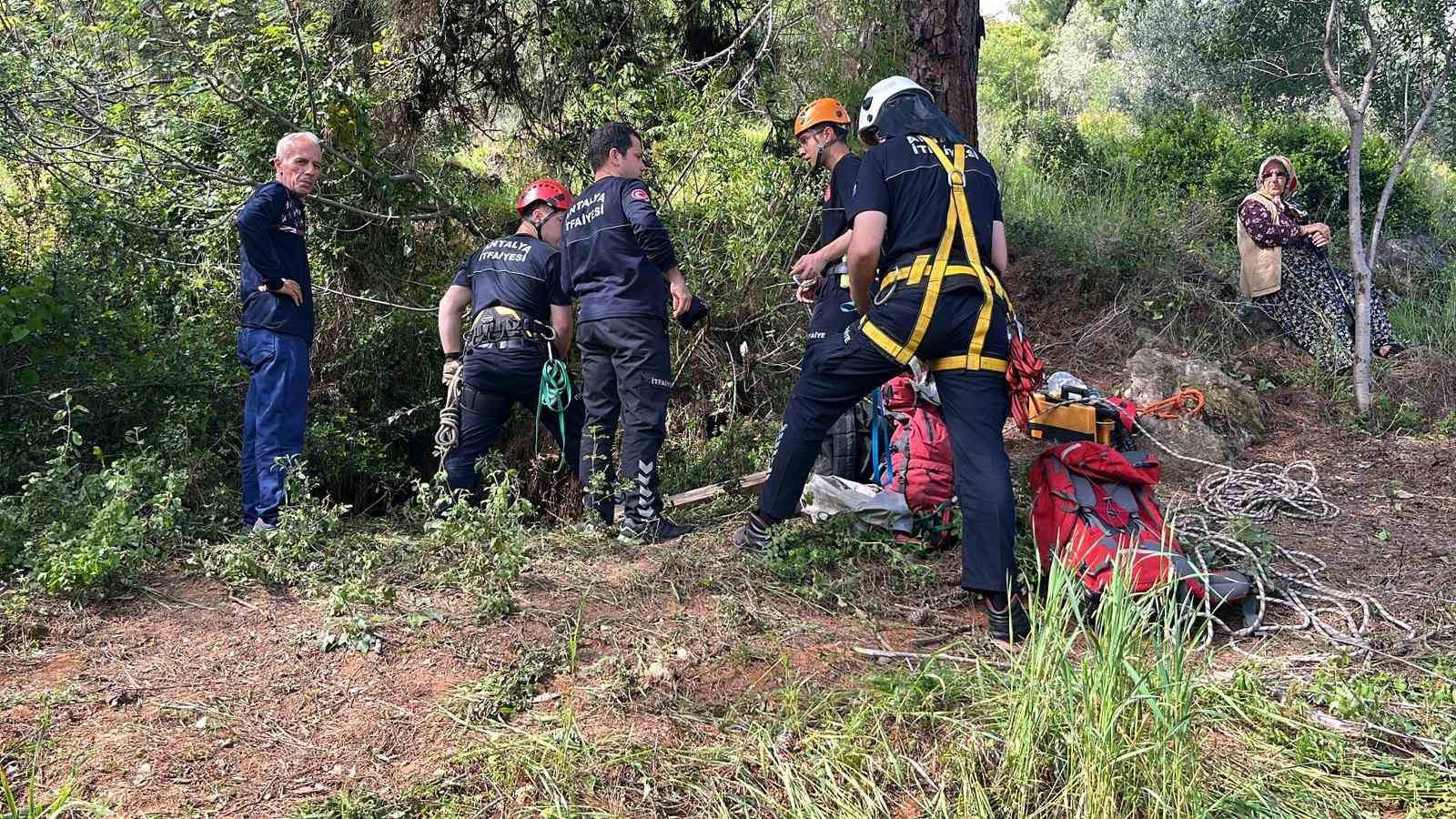 Dağlık alanda otlarken mağaraya düşen inek mağaraya inebilecek kasap bulunamayınca telef oldu 8 daglik alanda otlarken magaraya dusen inek magaraya inebilecek kasap bulunamayinca telef oldu 4 QuYbs7YZ