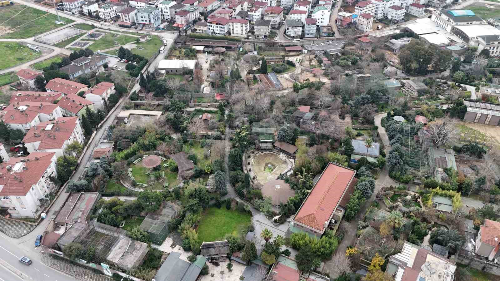 Darıca Hayvanat Bahçesi kapandı, hayvanlar farklı illere nakledildi 4 darica hayvanat bahcesi kapandi hayvanlar farkli illere nakledildi 0 p8BNGGi4