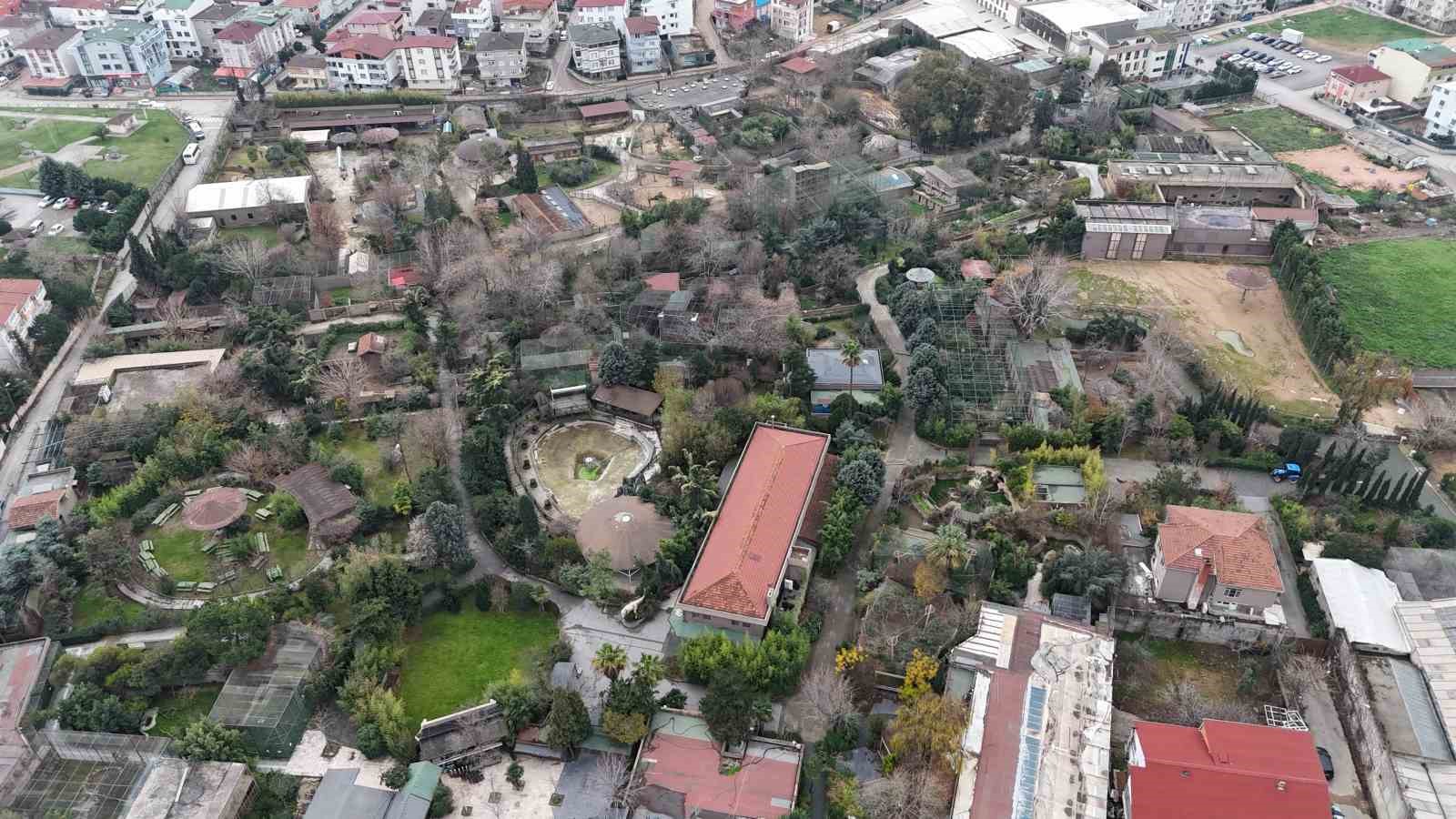 Darıca Hayvanat Bahçesi kapandı, hayvanlar farklı illere nakledildi 5 darica hayvanat bahcesi kapandi hayvanlar farkli illere nakledildi 1 m2i7HvHl