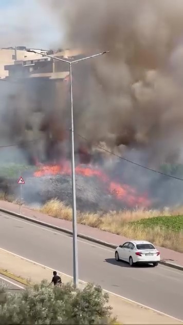 Darıca’da arazide korkutan yangın 4 daricada arazide korkutan yangin 0 wXfYFEeC