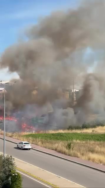 Darıca’da arazide korkutan yangın 5 daricada arazide korkutan yangin 1 t663bSq2