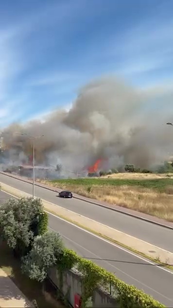 Darıca’da arazide korkutan yangın 6 daricada arazide korkutan yangin 2 LTgETsAa