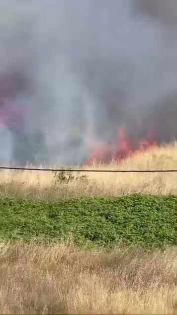 Darıca’da arazide korkutan yangın 7 daricada arazide korkutan yangin 3 YCFjK9w9