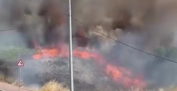 daricada-arazide-korkutan-yangin-vmO9CAYQ.jpg