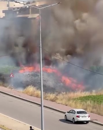 daricada-arazide-korkutan-yangin-vmO9CAYQ.jpg