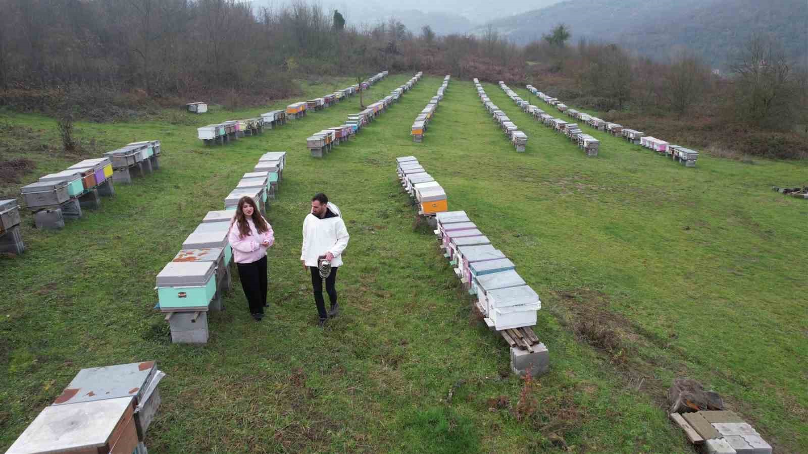 Dededen gelen arıcılığı profesyonelleştirdi, ürettiği bal dünyada zirveye çıktı 10 dededen gelen ariciligi profesyonellestirdi urettigi bal dunyada zirveye cikti 6 bCFc4pJY