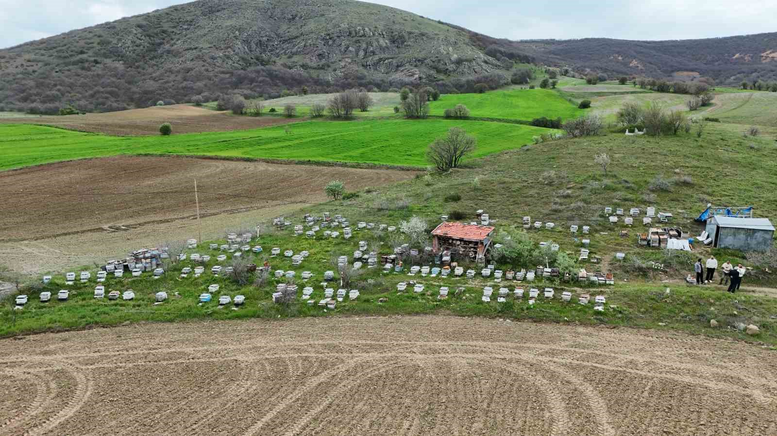 dedesinden ogrendigi meslegi koyunde surduruyor 0 5HOV44Kw