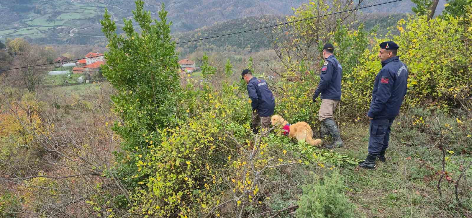 Defne toplarken kaybolan kadının cansız bedeni bulundu: O anlar İHA kameralarına yansıdı 6 defne toplarken kaybolan kadinin cansiz bedeni bulundu o anlar iha kameralarina yansidi 2 UrDMenmC
