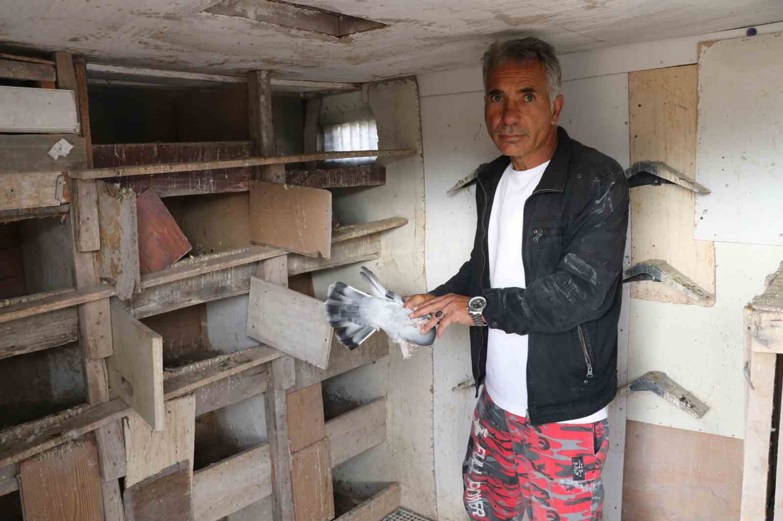 degeri yarim milyondan fazla yurt disindan bile talep goruyor 6 2FO3Eb59